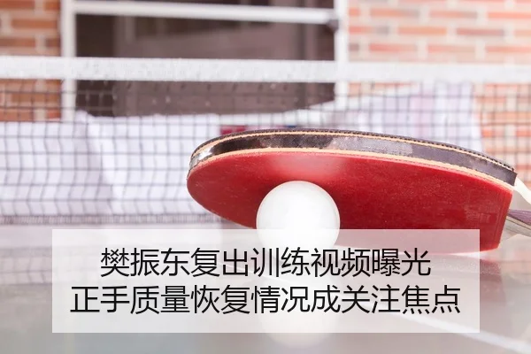 樊振东复出训练视频曝光 正手质量恢复情况成关注焦点（Leyu）